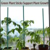GAGINANG 50 Pcs Plant Sticks Green Stakes, Support Garden 18