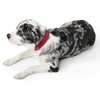 Hunter Softie Dog Collar, Imitation Leather, 45