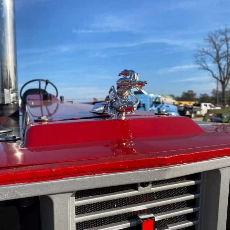 Coyote Trucks Hood Ornament Cartoon Vintage Car Ornaments Inspired by