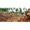 Carbon Activado Cascara De Coco 1 Kilo