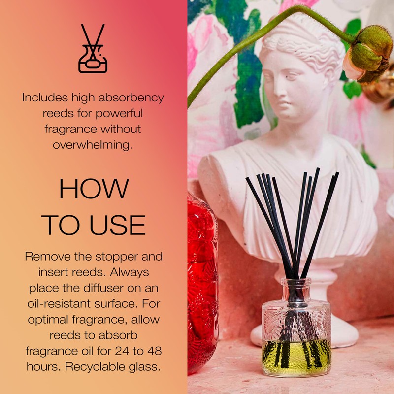 Voluspa Japonica Goji Tarocco Orange Home Ambience Diffuser, 3.4 Ounce