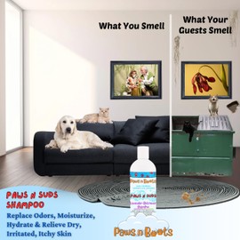 Pet Shampoo 100% Organic, All-Natural & Non-Toxic to Pets Lavender. Fast Relief for Dry, Itchy, Irritated Skin, Hypoallergenic, Tearless & Cruelty Free, Odor Controlling Made in USA 16oz Paws n Suds