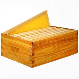 Honey Lake 8 Frame Assembled Bee Hive Super Box, Langstroth Beehive Starter Kit for Beekeepers, Medium Super Bee Box Dipped in 100% Beeswax Includes Beehive Frames and Waxed Foundations