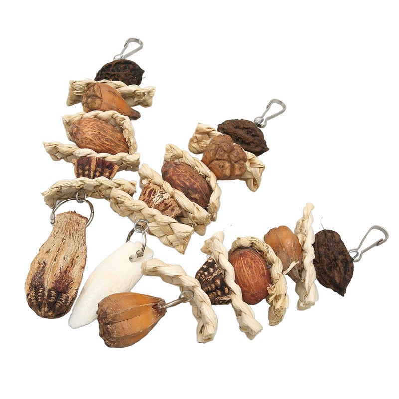 Parakeet Beak Stone Parrots Trimming Chew Toys Set Bird Nuts