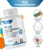 Nutri-Sentials PQQ Max 20mg, 120 Capsules C Pyrroloquinoline Quinone -