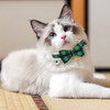 Cat Collar with Bell and Bow Tie, Quick Release Safety