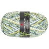 Pro Lana Bamboo Socks Approx. 400 m Col. 969 100