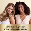 Pantene 2-in-1 Shampoo and Conditioner Twin Pack with Hair Treatment