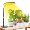 Fecida Desk Grow Lights For Indoor Plants, Table Top Grow