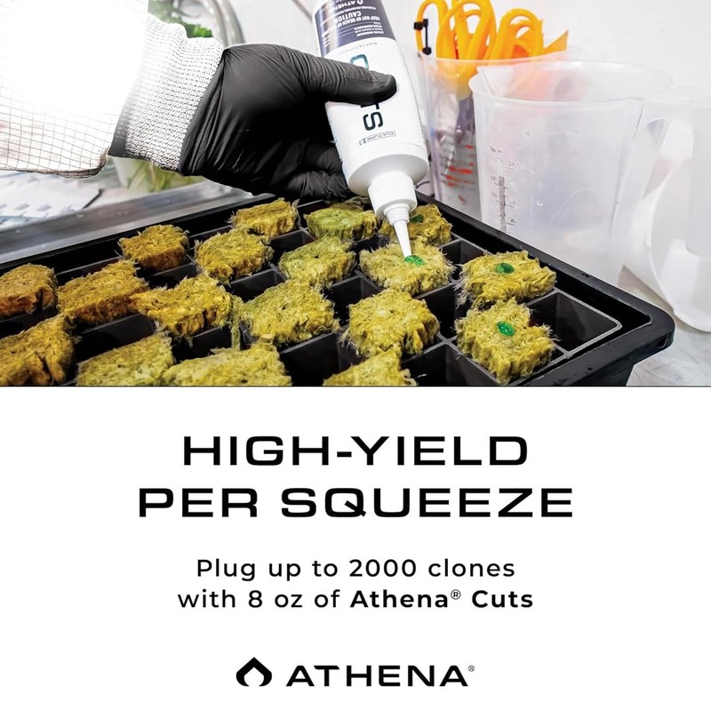 Athena Cuts Rooting Hormone Cloning Gel | Root Growth Hormone