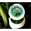 ALOE FEROX BITTER CRYSTALS, CONSTIPATION RELIEF, COLON CLEANSER, HERBAL DETOX