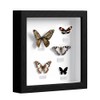 3D Picture Frame, Picture Frame for Filling, Frame for Objects,