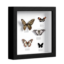 3D Picture Frame, Picture Frame for Filling, Frame for Objects, Square Object Frame, Deep 3 cm for Wall and Desktop, Shadow Box for Photos, Objects, Wedding Bouquet, Black, 25 x 25 cm