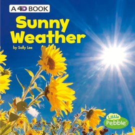 Sunny Weather: A 4D Book (All Kinds of Weather)