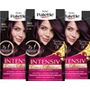 Palette Intensive Creme Colouration Hair Colour, 4-99/880, Aubergine, Level 3,