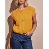 Flygo Womens Sleeveless Sweater Vest 2025 Spring Summer Crop Knit
