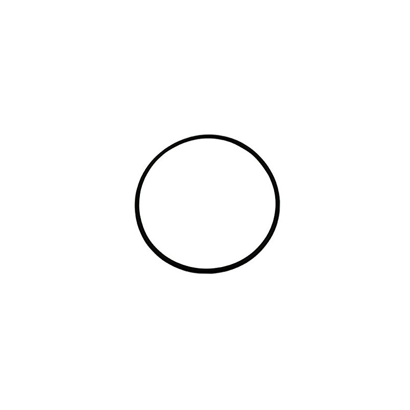 LIXIL INAX O-Ring (S48) 50-574-1