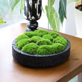NAHARO Minimalist Moss Bowl–8''Handmade Travertine Artificial Moss Bowl Centerpiece for Modern Home Decor, Living Room, Office, or Coffee Table Display