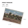 Lantern Press 1000 Piece Jigsaw Puzzle, Saratoga Springs, NY, Horse