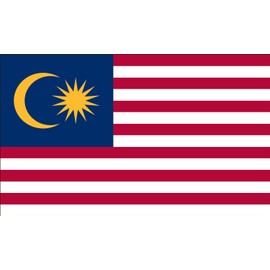 Valley Forge Flag 4-Foot by 6-Foot Nylon Malaysia Flag