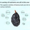 Dehydrated Dried Blackcurrants - Large-sized Black currants, No Added Sweeteners