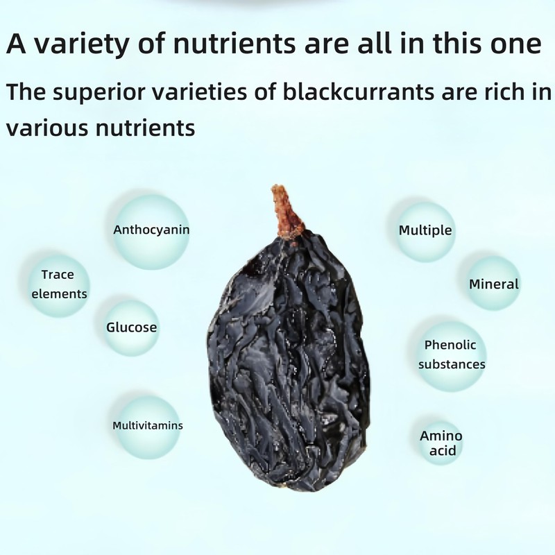 Dehydrated Dried Blackcurrants - Large-sized Black currants, No Added Sweeteners
