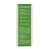 Well's Oil Roll-On Perfume Oil (Midnight Sugar) | Long-Lasting |