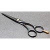 NTS-Solingen Professional Hairdressing Scissors Ergonomic Rustproof Titanium Coated 5.5 Inches
