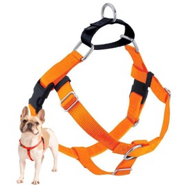 2 Hounds Design Freedom No Pull Dog Harness, Adjustable Harness, Easy Walking & Comfortable Control, Fits Small, Medium & Large Dogs, Solid Colors, Made in USA, 1" LG, Neon Organge