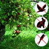PATIKIL Bird Netting, 6Pack 13x39Ft Garden Mesh Netting Gardening Protection