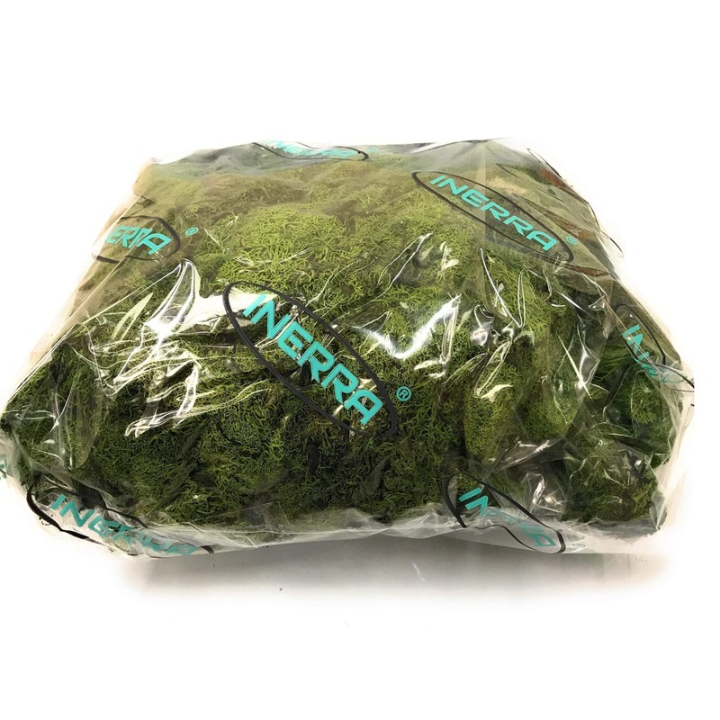 INERRA Finland Moss - Dark Green - Reindeer Moss Craft