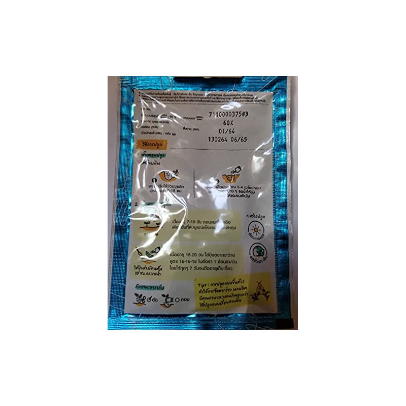 Purple Winged Bean Seeds