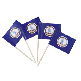 JBCD Virginia Toothpick Flag Mini Small Cupcake Topper Flags, 100 pcs