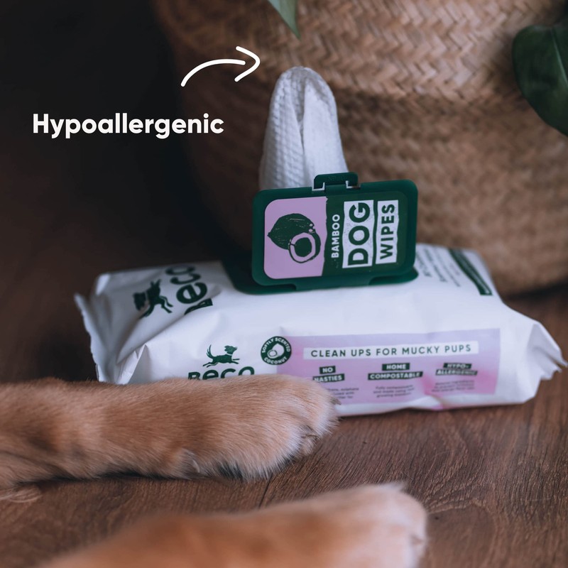 Beco Bamboo Dog Wipes - Plastic Free 80 Wipes, Coconut