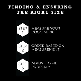 Wolfgang Premium Martingale Dog Collar for Medium Dogs, Durable Nylon Dog Collar with Quick Clip Buckles, for Training & Daily Use, Made in USA, DarkFloral Print, (1 Inch x 14-18 Inch)