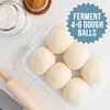 Chef Pomodoro Pizza Dough Proofing Box, 14 x 11-Inch, Preparation