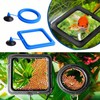 4 Pieces Square Fish Tank Fish Tank Swimming Ring Suction
