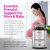 Folic Acid 400 mcg - 450 Vegan Tablets - 15