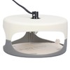 Flea Trap Good Stickiness Safe Ingredients Odorless Indoor Pest Control