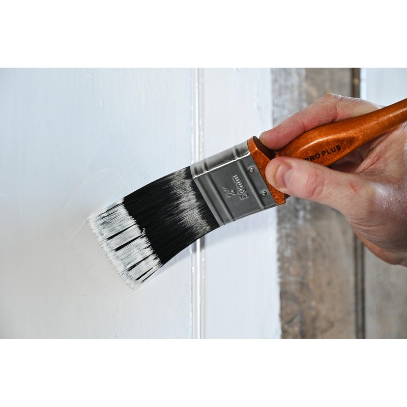 PROFESSIONAL+ 6 Piece Paint & Varnish Brush Set - Premium