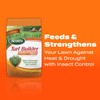 Scotts Turf Builder SummerGuard Lawn Food with Insect Control, Fertilizer