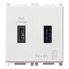 VIMAR 14295.AC USB Power Supply 5V 3A for Electronic Devices, 1 USB Type A and 1 USB Type C, Power Supply 120-240V 50/60Hz, Antibacterial Material, 2 Modules, Plana Series, White