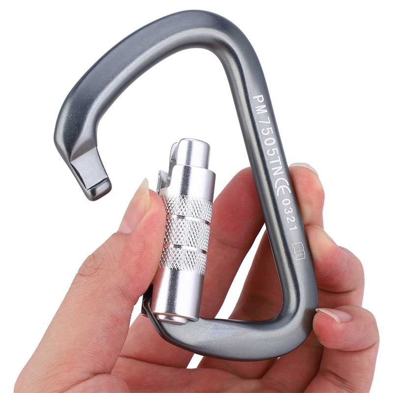 D Type Carabiner Rock Climbing Aviation Aluminum Outdoor Master Lock