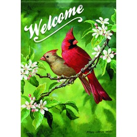Carson Home Accents Flagtrends Classic Garden Flag, Welcome Birds Lady & Red