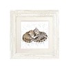 Wrendale Designs - 'Sweet Dreams' Framed Card - White