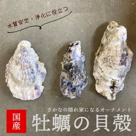 Medaka Friend, Made in Japan, Natural Oyster Shell, 10.6 oz (300 g) (8 - 10 Pieces), Boiling, Sterilized, Goldfish, Tropical Fish, Filtering, Water Quality Stabilization, Water Purification, PH