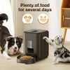 2L Cat Timing Feeder Tuya APP Smart Cat Feeder Pet