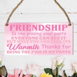 Pixie's Gifts Funny Friendship Plaque - The Best Gift for Your Best Friend (Pink)