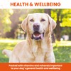 Vetzyme Once A Day Conditioning Tablets for Dogs (30 Tablets)