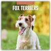Fox Terriers 2025 Square Wall Calendar: Original Red Robin Publishing